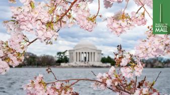 Trust for the National Mall
