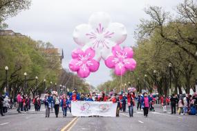 NCBF Parade - Jason Dixson Photography