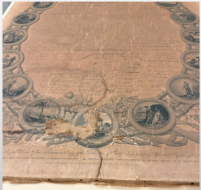 Photo credit for the conservation process photos: Morgan Browning