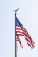 Today I will be participating in our annual Flag Raising Ceremony this afternoon at National Headquarters