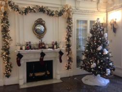 The education tree with fuzzy owls in the O'Byrne Gallery