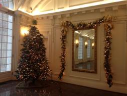 The peacock tree in the O'Byrne Gallery