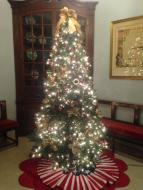 The patriotic tree